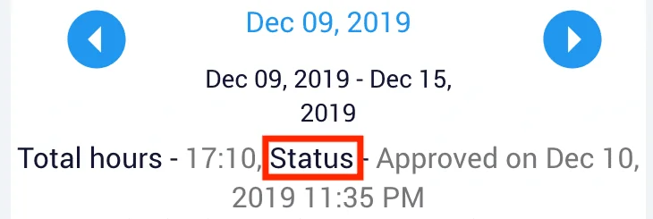 Timesheet status such as New, Draft, Submittted, Approved and Rejected shown in the status